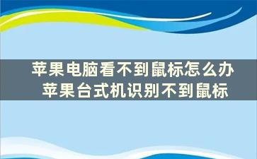 苹果电脑看不到鼠标怎么办 苹果台式机识别不到鼠标